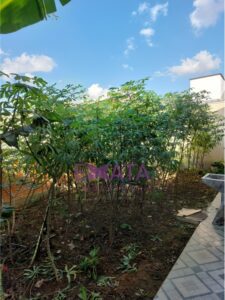 Horta2