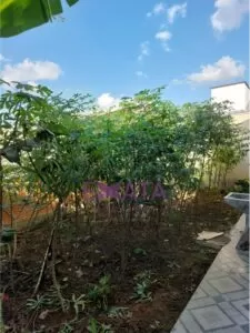 Horta2